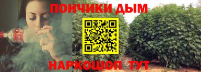 spice Новодвинск