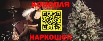 spice Новодвинск