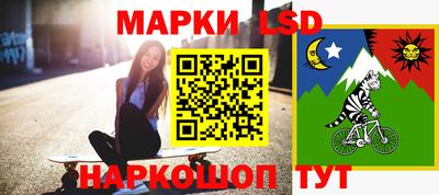 spice Новодвинск