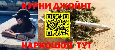 spice Новодвинск