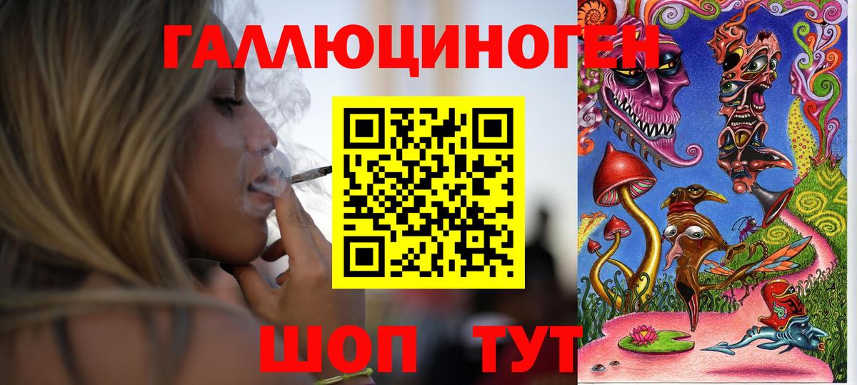 Галлюциногенные грибы Psilocybe Рузаевка