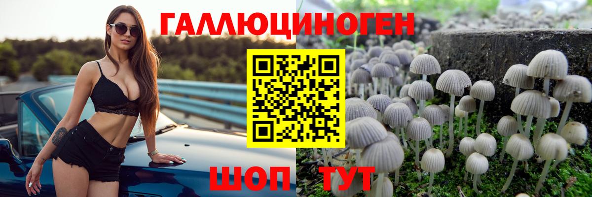 Рузаевка  Псилоцибиновые грибы MAGIC MUSHROOMS  Вход с VPN 